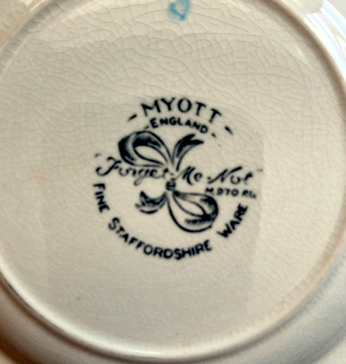 Vintage English 6" Myott Forget Me Not Stafordshire Decorative Plate