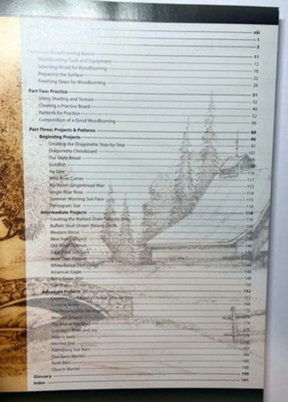 Great Book of Woodburning by Lora S. Irish — Pyrography Guide