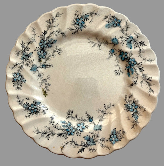Vintage English 6" Myott "Forget Me Not" Staffordshire Decorative Plate