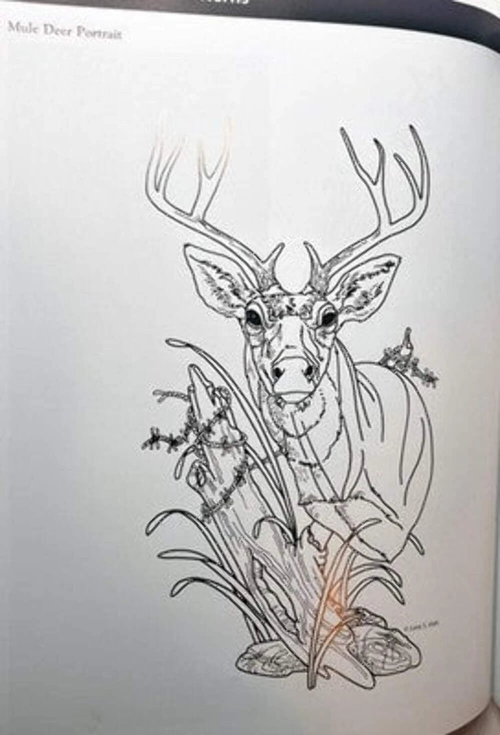 Great Book of Woodburning by Lora S. Irish — Pyrography Guide