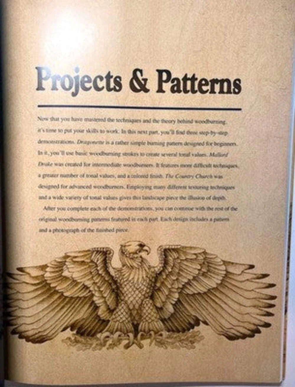 Great Book of Woodburning by Lora S. Irish — Pyrography Guide